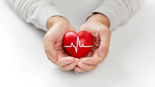 person holding a heart in their hands